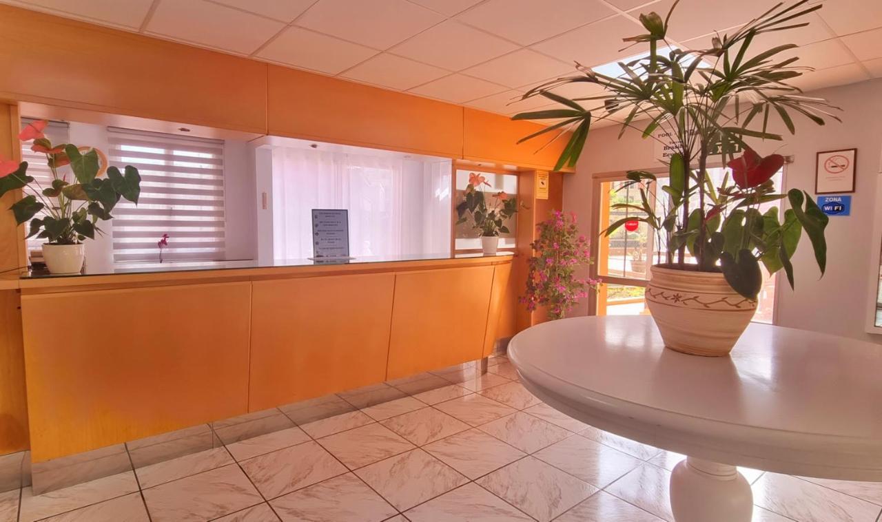 Garden Beach Studio Leilighet Puerto de la Cruz  Eksteriør bilde