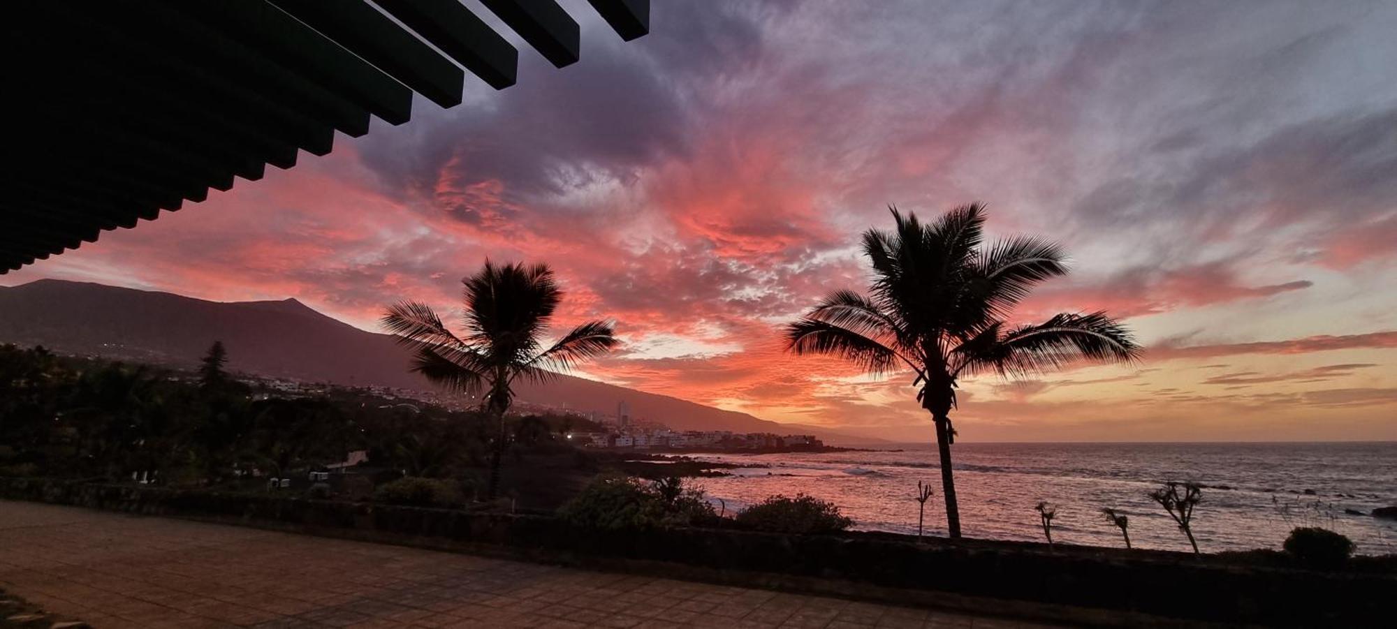 Garden Beach Studio Leilighet Puerto de la Cruz  Eksteriør bilde